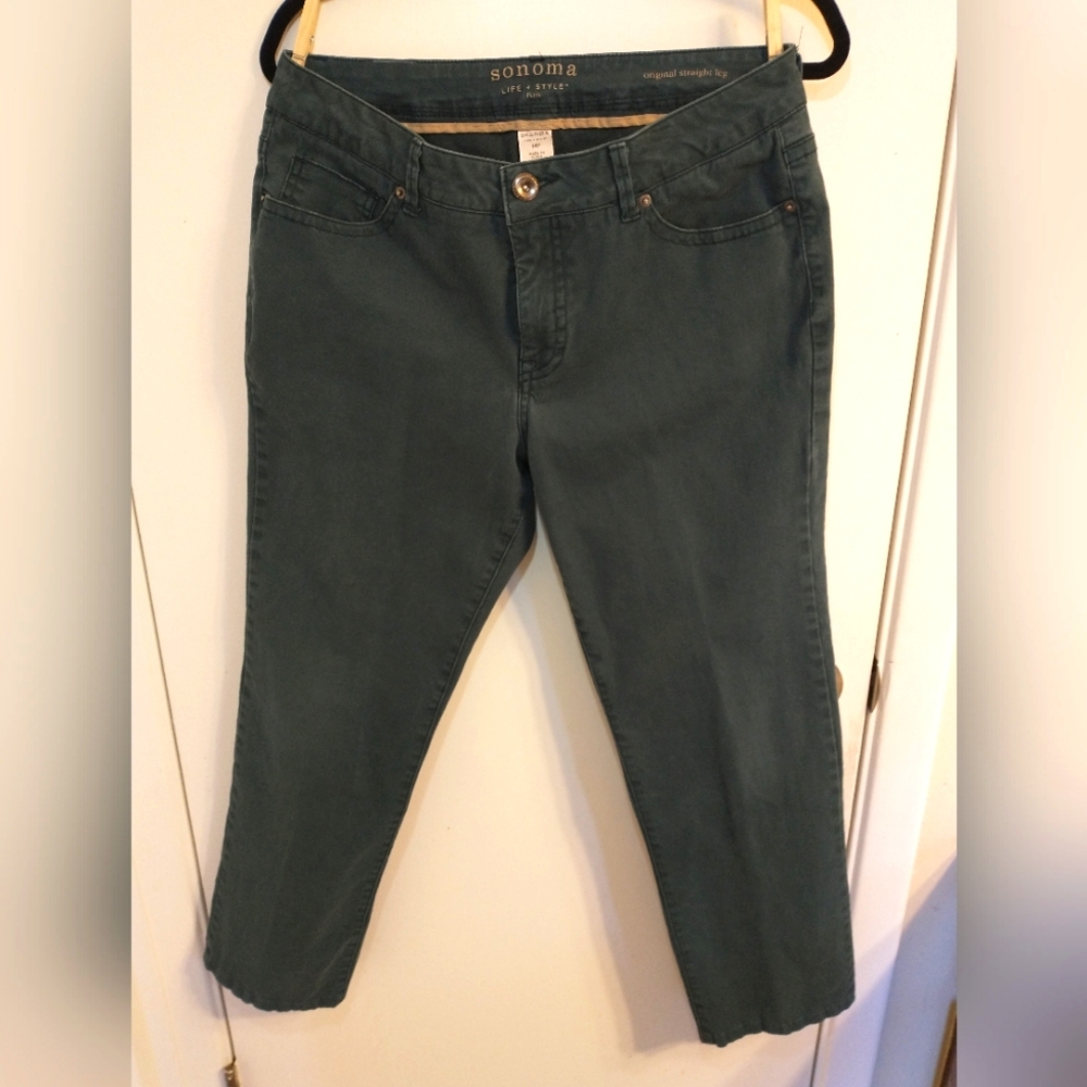 Women's Petite Sonoma Teal/Spruce Colored Straight Leg Jeans